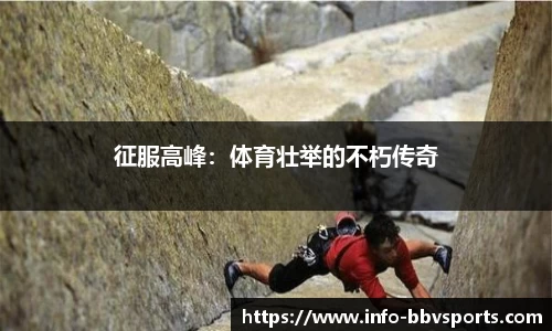 BBV体育官网